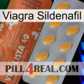 Viagra Sildenafil 43